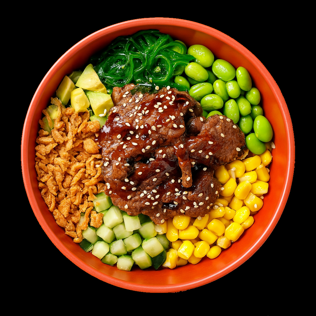 Teriyaki Beef Bowl